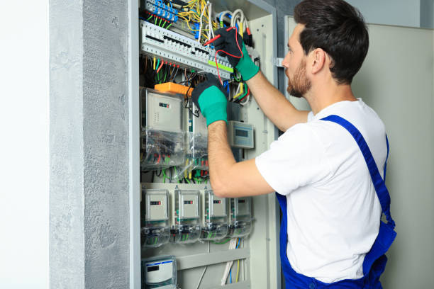 Best Electrical System Inspection  in Central City, IL